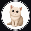 Cash Cat (cashcat.store)
