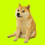 Cash Dog (cashdog.club)