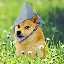 ETH DOGE