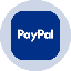 PayPal Tokenized Stock (Ondo)