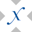 Direxion Semiconductor Bull 3X tokenized ETF (xStock)