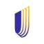 UnitedHealth Group (Derivatives)