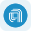 Applied Materials Tokenized Stock (Reality)